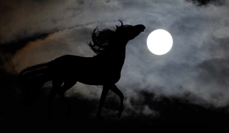 horse moon